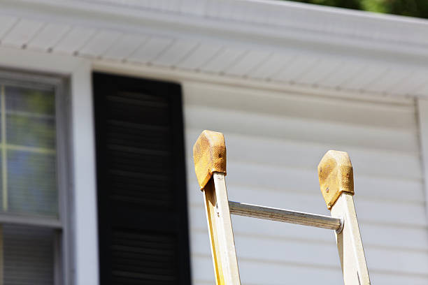 Best Historical Building Siding Restoration  in Azalea Park, FL